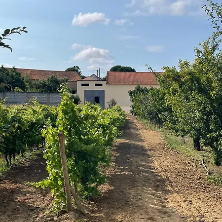 Macussa Country House Macussa