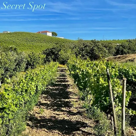 Macussa Country House Dom wakacyjny Macussa