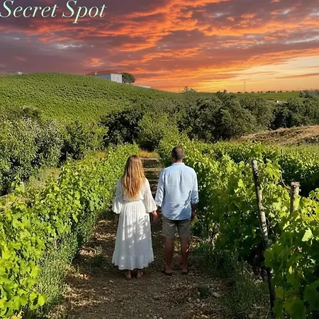 Dom wakacyjny Macussa Country House *