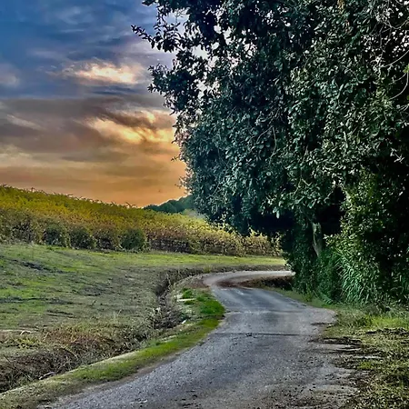 Macussa Country House Macussa