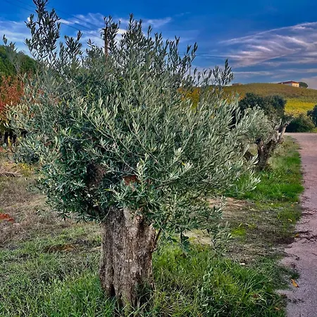 別荘 Macussa Country House *