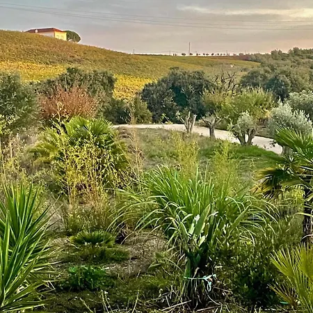 בית נופש Macussa Country House Macussa