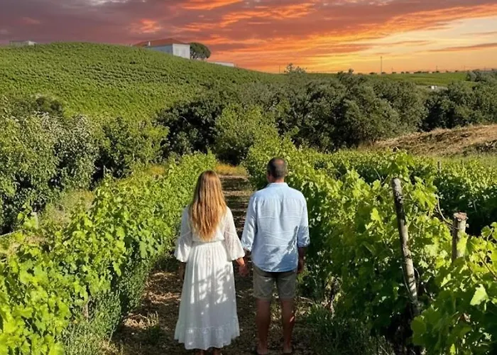 別荘 Macussa Country House *