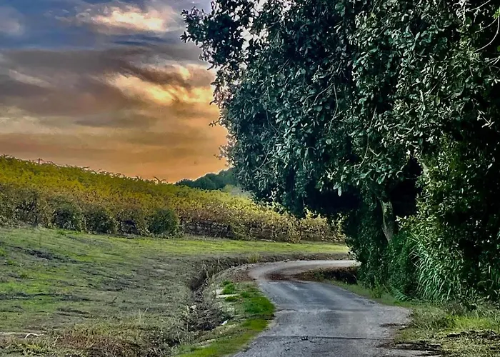 Macussa Country House Macussa