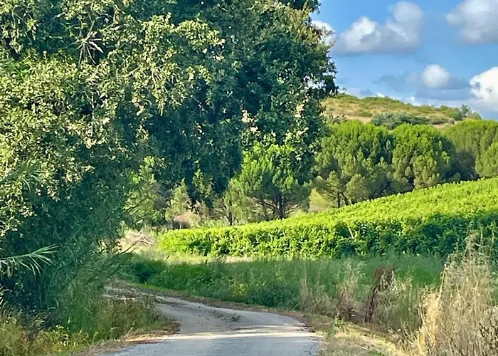 Macussa Country House * Macussa