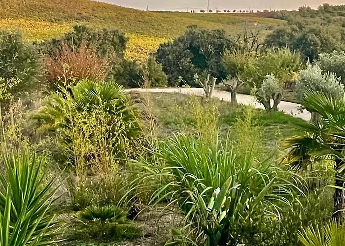 Feriehus Macussa Country House Macussa